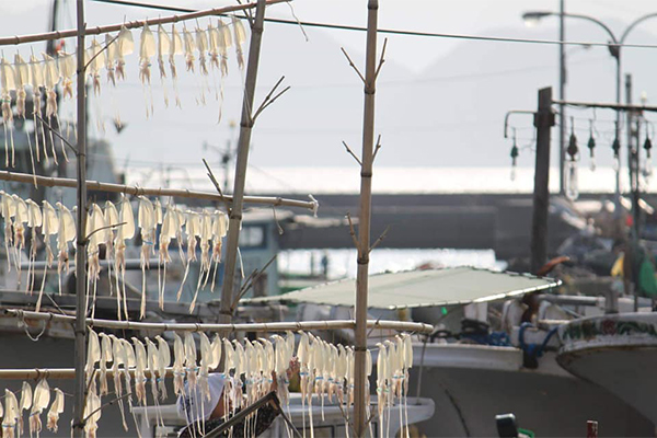 くじら資料館の内観
